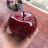 Adornos de Manzana Tallada de Sándalo, Decoraciones Propicias, Regalos de Manzana Navideños, Se Pueden Grabar con Logos