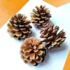 Adornos de piña natural para decoración de Navidad 2-14CM Torre de pino bola de piña material de flor seca hecho a mano para jardín de infantes venta al por mayor