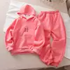 Moletom Super Legal para Meninos, Estilo Outono e Inverno, Lã Integrada, Novo Modelo 2026, Jaqueta Infantil Elegante de Caimento Solto para Primavera e Outono