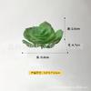 Maceta Humana Carnosa Caliente Transfronteriza Estilo Europeo y Americano Estilo Moderno Simple Decoración para el Hogar Creativa Cinco Características Maceta Planta Adorno