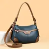 Bolso bandolera transfronterizo nuevo 2024 para mujer, gran capacidad, bolso para madre de mujer de mediana edad, bolso de hombro, bolso de mujer, generación de cabello