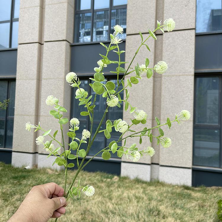 4叉原色夹夹果 浅绿.JPG