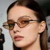 Nuevas Gafas de Sol Poligonales Metal Irregular Marco Pequeño Coloridas Marinas Gafas de Sol para Hombre Modelo Más Vendido Transfronterizo