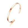 Pulsera popular europea y americana de anillo liso de acero inoxidable brillante pulsera abierta para mujer pulsera tricolor inspiradora de personalidad que combina con todo