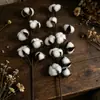 Venta al por mayor del fabricante Flores secas de algodón para la cabeza Inserciones de simulación de algodón Accesorios para el hogar Decoraciones de interiores Flor de algodón inmortal