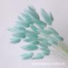 Base de Origen Yunnan Comercio Exterior Amazon Cola de Conejo Multicolor Mori Flores Verdaderas Flores Secas Decoración del Hogar Adorno Floral