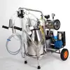 Extractor de Leche Nuevo Modelo con Bomba Integrada, Extractor de Leche Eléctrico Portátil para el Hogar con Transmisión por Correa Dividida