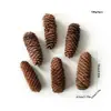 Materiais DIY de Pinhas, Segmentos de Madeira, Decorações Criativas de Hotel, Galhos Secos, Decorações de Frutas, Espécimes Decorativos Macios, Pinhas, Pinhões de Pousada