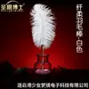 Dr. Varita de Pluma Suave Sheng En para Jugar con Tubo de Metal Juguete Sexual para Adultos Juguete de Entrenamiento Sm