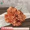 Simulação de Buquê de 5 Cabeças de Hortênsia Flores Artificiais Hortênsia Artificial Atacado Produtos Acabados para Decoração de Casamento e Paisagismo