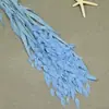Flor mágica hierba de la pequeña esperanza eterna ramo flor real Natural Alto sentido ins estilo nórdico sala de estar decoración jarrón Flor eterna
