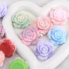 Nuevo Parche de Flor de Rosa Luminosa de Felpa Larga para Hacer Fundas de Teléfono DIY, Accesorios de Bolsa Ciega de Gel de Crema para Pasadores