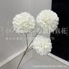 Flores Artificiais e Plantas Verdes Estilo Floresta para Casamento, Capim Pampa de Bambu, Plantas Verdes Artificiais Aspargo, Plantas Artificiais, Plantas Verdes Falsas para Paisagismo