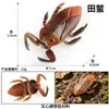Juguete de broma modelo de animal de simulación de ciencia y educación para niños, adornos de insectos, escena de mesa de arena, juego de arañas de Halloween