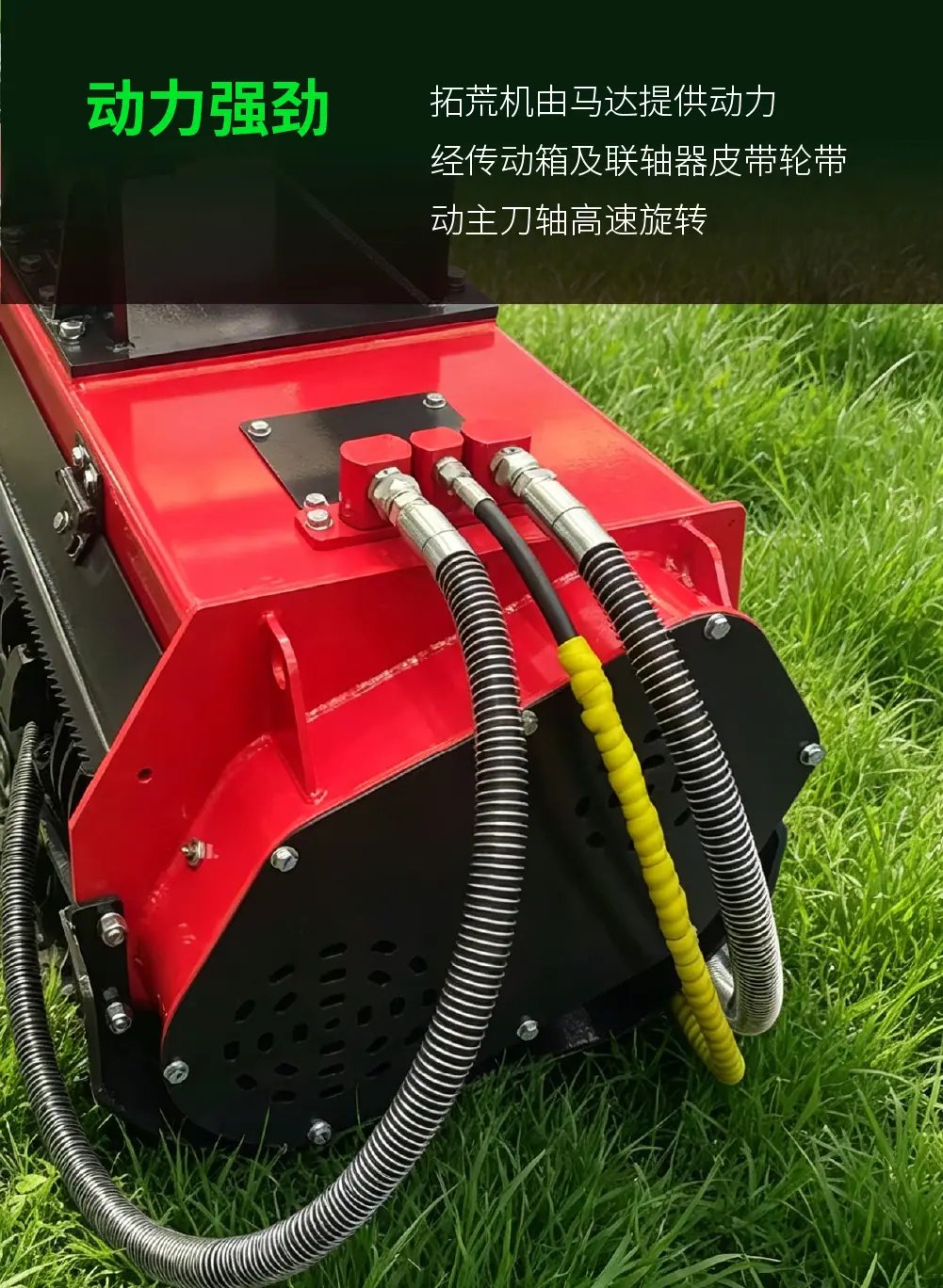 详情页4.jpg