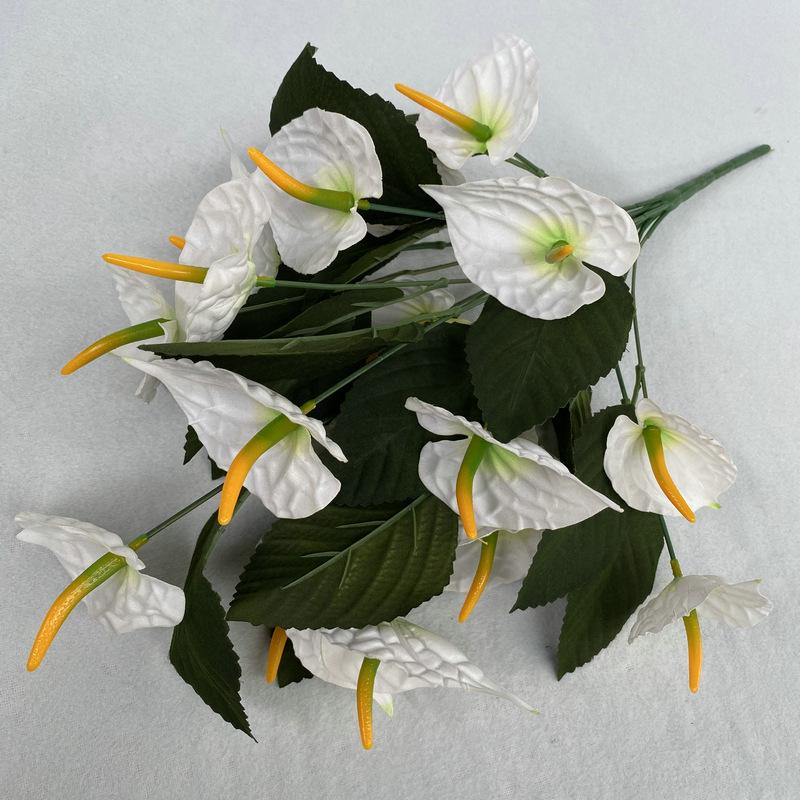 小号白色.JPG