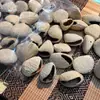 Campanillas de Viento Naturales Importadas de Indonesia Hechas de Cáscaras de Fruta con Documentación Completa, Nicho DIY, Artículos Dañados Devolubles/Intercambiables, Limpio, Agujeros Grandes de 0.2cm