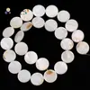 Venta caliente transfronteriza concha de agua dulce natural amor cinco estrellas círculo de luna varias formas cuentas sueltas joyería de concha diy