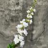 [Material de flor blanca] Arreglo floral de hortensia, rosa, flor de pasto escarchado con decoración de material de hoja de niebla de techo de pasto, flor de simulación para boda