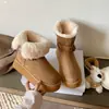 Primer Encuentro Ji Zeng Gao Uso Bidireccional Suela Gruesa Peludo Más Terciopelo Engrosado Cálido Zapatos de Algodón Gris Botas de Nieve de Caña Alta Mujer Invierno Nuevo Estilo