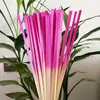 Regalos de Construcción de Equipo DIY de Tejido de Bambú Estilo Chino, Materiales DIY Hechos a Mano por Estudiantes para Tejido de Bambú, Tiras de Bambú de Colores, Color Degradado, Abanico Hecho por Uno Mismo