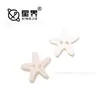 Botões de coral pequenos, frescos e coloridos, botões plásticos de dois furos, botões para artesanato, acessórios de vestuário, decorações para sapatos, acessórios de cabelo e enfeites de botão