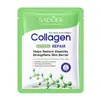 Mascarilla de Colágeno Transfronteriza, Esencia de Oligopéptidos de Ácido Hialurónico, Mascarilla Hidratante y Nutritiva, Mascarilla Refrescante y Rejuvenecedora, Venta al por Mayor de Comercio Exterior