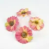 Flores Simuladas de 4.5 cm Flores DIY Margaritas Pequeñas Flores de Seda Flores Artificiales Decoración de Bodas Accesorios para Fotografía al Aire Libre Fabricante de Flores