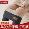 Leggings de lã de alpaca extra grossos para mulheres, novo estilo de inverno, forrados com fleece e espessados, de cintura alta, justos e adequados para usar como peça externa, proporcionando calor em regiões frias