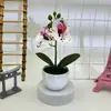 Plantas Artificiales de Dos Phalaenopsis en Maceta Transfronterizas para Decoración de Sala de Estar, Macetas de Diamante, Bonsái de Flores Falsas, Adornos de Plantas Verdes para Fotografía de Bodas