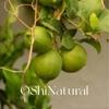 Aceite esencial de lima italiana lima aromaterapia importada cítrico planta cuidado de la piel aceite de masaje materias primas al por mayor