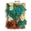 Flores Secas DIY Flores Imortais Pétalas de Flores Naturais Relevadas Pacote de Material Relevado Vela de Aromaterapia Fabricante de Material Floral Atacado