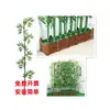 Bambú artificial para paisajismo, bambú falso para decoración en macetas interiores y exteriores, plantas artificiales, flores artificiales, divisor, bambú biomimético
