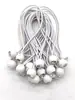 Banda elástica redonda de plástico de 4 mm para exteriores, cuerda elástica para tienda de campaña, toldo, camping, paquete de fijación fija