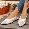 Comercio exterior transfronterizo talla grande otoño 2026 nuevos zapatos planos de punta para mujer, modernos zapatos bajos sin cordones de malla