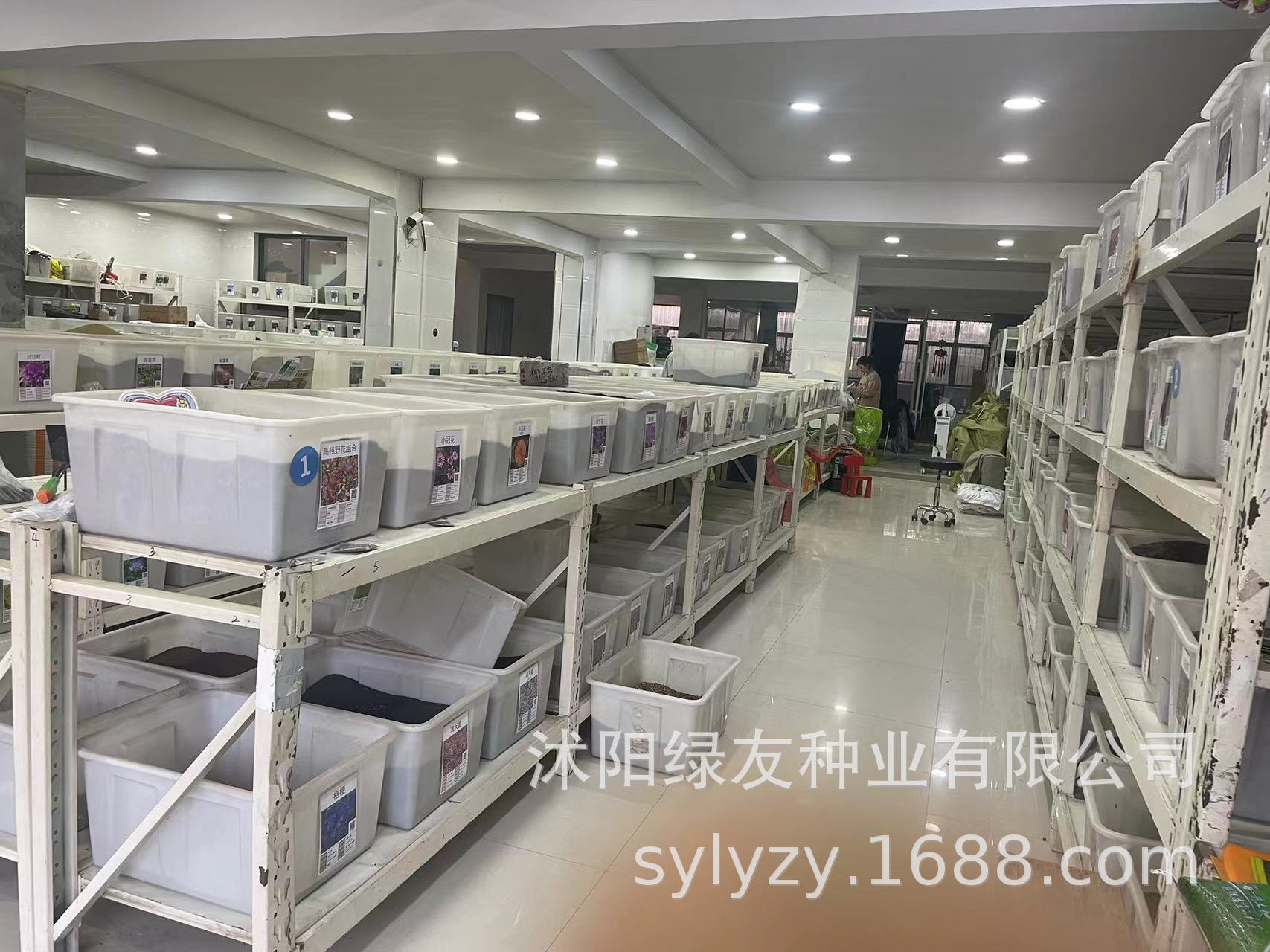 沭阳绿友种业有限公司 门市内部
