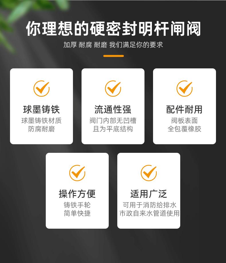 硬密封明杆法兰闸阀-远进 (2).gif