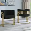 Poltrona de sofá de um lugar, aço inoxidável, luxo leve, design moderno, estilo nórdico, adequada para salas de estar, hotéis, áreas de recepção e salas de reunião