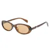 Gafas de Sol Ovaladas de Marco Pequeño Retro Transfronterizas Gafas de Sol de Moda Europeas y Americanas Gafas de Sol para Mujer Estilo Nuevo de Gama Alta Ojo de Gato