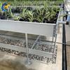 Invernadero de Vivero para Agricultor de Verduras Cultivo de Plántulas de Flores Marco de Aleación de Aluminio Estante para Plántulas Galvanizado en Caliente Cama de Semillero Multicapa
