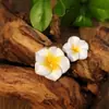 Venda Quente Transfronteiriça Europeia e Americana Estilo Boêmio DIY Argila Macia Colorida Acessórios Flor de Frangipani Acessórios de Cordão Gradiente