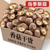 Novedades Champiñones shiitake secos Gudian, carne gruesa, sin tallos, frescos y tiernos, venta al por mayor de champiñones shiitake secos, champiñones shiitake secos para guisar, saltear, ingredientes para sopa