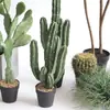 Cacto Artificial Planta Verde Decorativa em Vaso Biónica Tropical Desértica Pacote de Paisagismo Combinação Falso Cactus