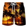 Pantalones de playa deportivos de ocio para hombre, venta al por mayor, impresión digital 3D, para vacaciones de verano en la playa, 2023