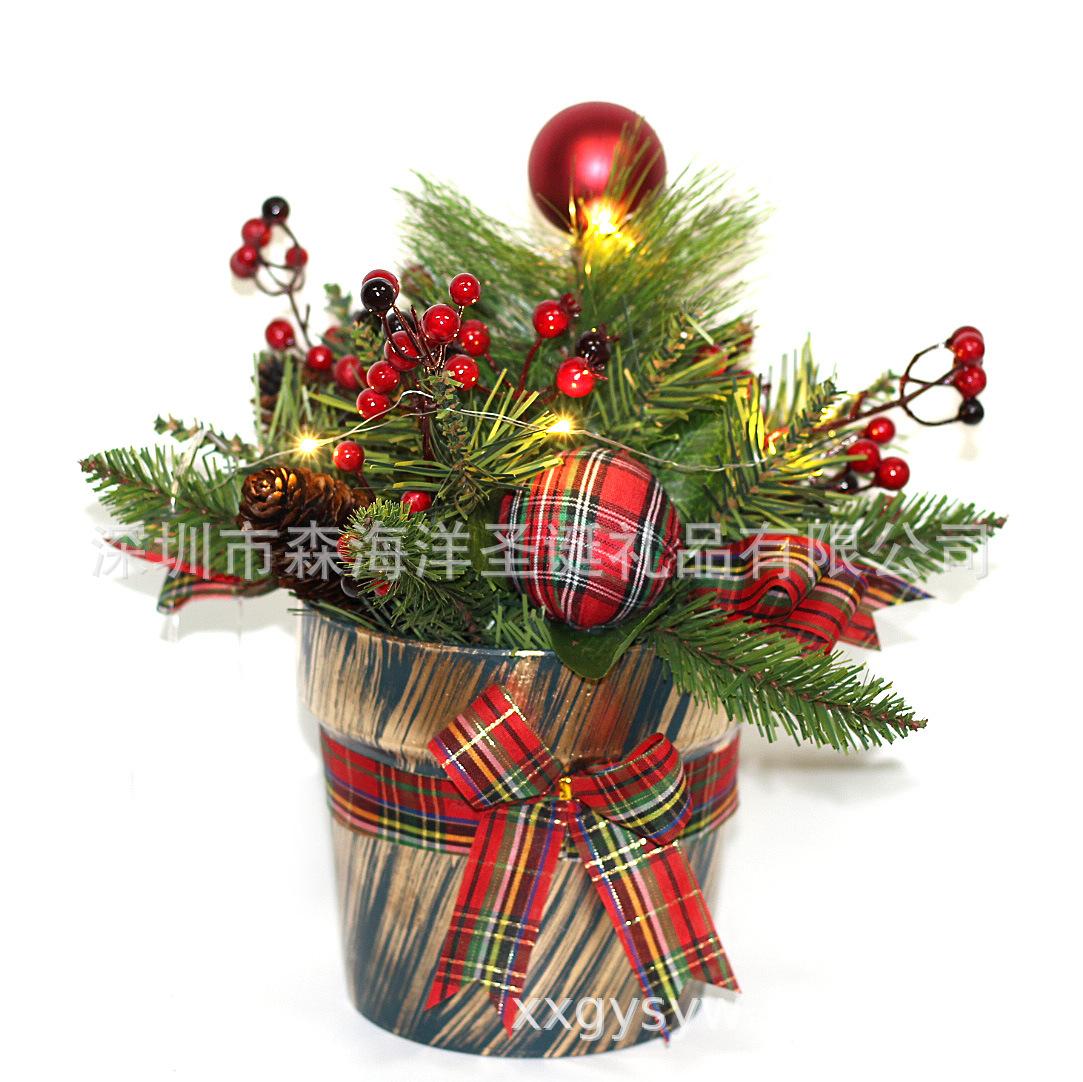 SHY-CNP10-27862 (1).JPG