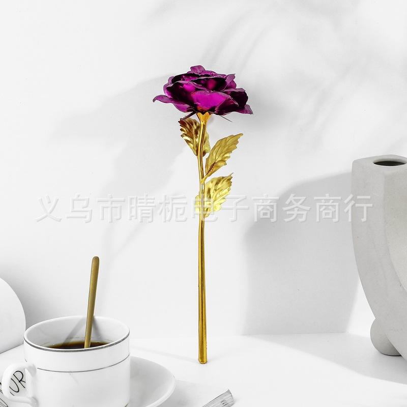 SKU-1-紫色.JPG