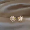 Permita-me deslumbrá-la com brincos no mesmo estilo dos da Estrela, apresentando cachos de uvas floridos, com um design vintage, moda retrô, acabamento requintado e apelo versátil.