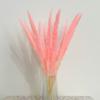 Flor Seca Juncos Pequenos Estilo INS Nórdico Cinza Avançado Decoração Lã Macia Pó Tiro de Casamento Fornecimento Transfronteiriço Lote de Flores Secas