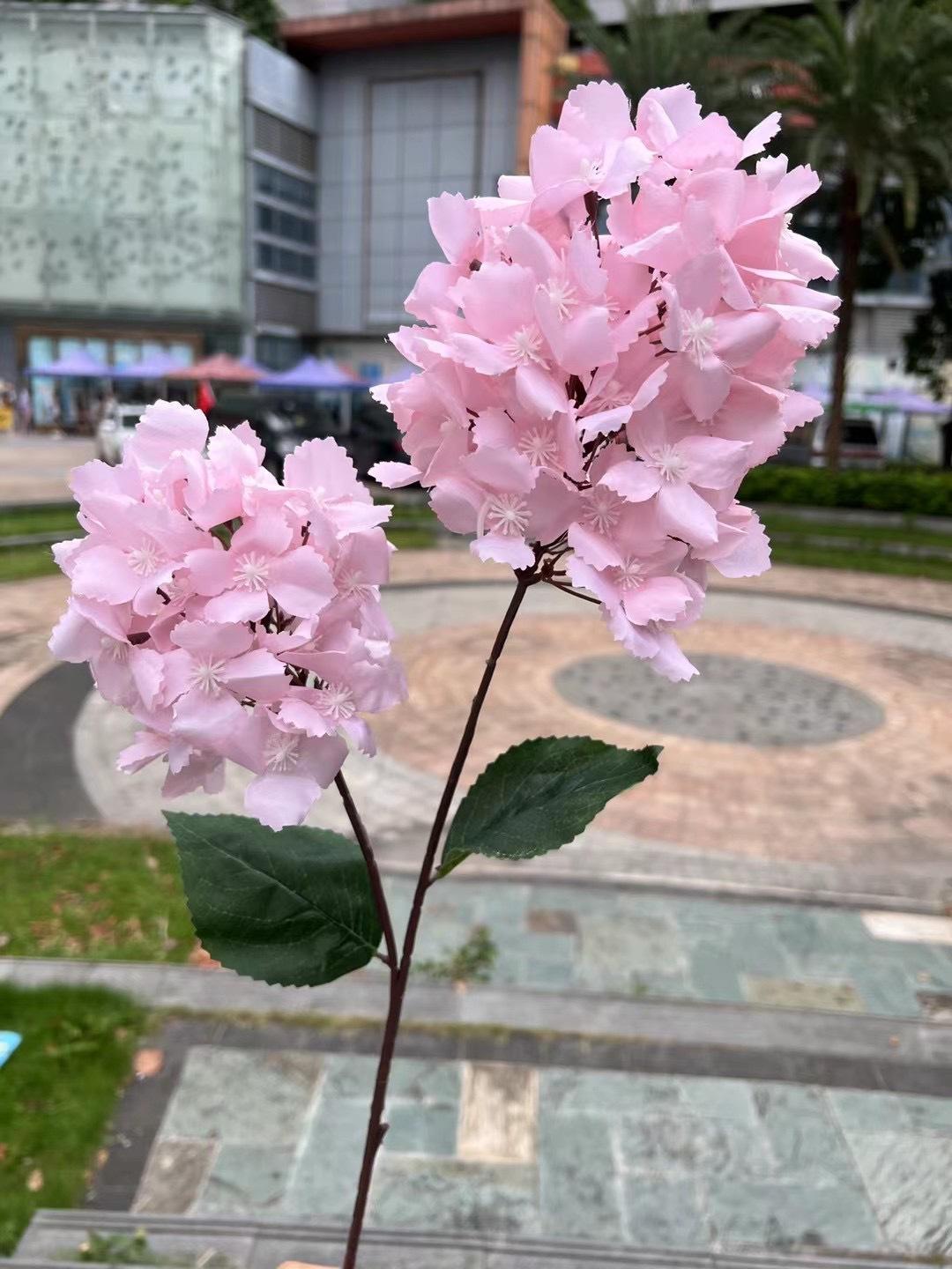 微信图片_20240724141250.jpg