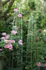 Soporte para Plantas Trepadoras con Forma de Jaula para Pájaros Redonda para Rosas y Clemátides, Soporte para Flores Jaula para Pájaros Estilo Vintage, Soporte para Macetas de Balcón, Maceta de Tamaño Mediano